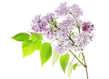 《英灵神殿》最新测试版登陆Steam 加入全新冰洞区域